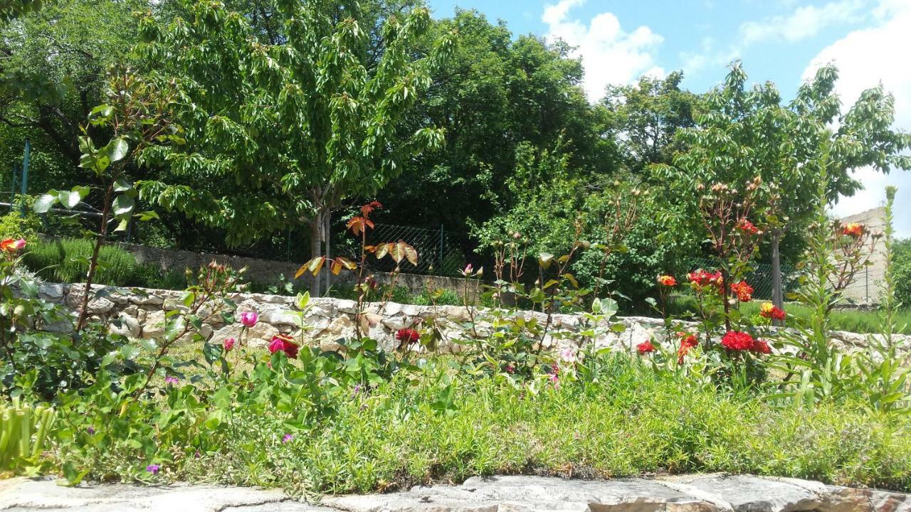 Villa Cetina Milasi Bagian luar foto