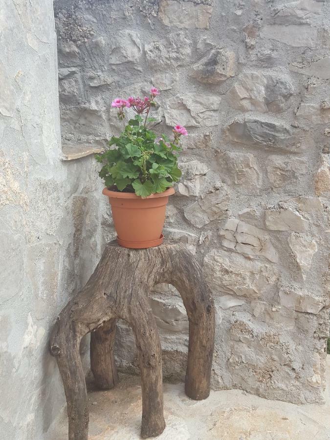 Villa Cetina Milasi Bagian luar foto