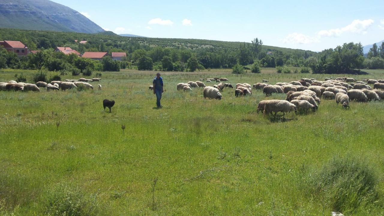 Villa Cetina Milasi Bagian luar foto